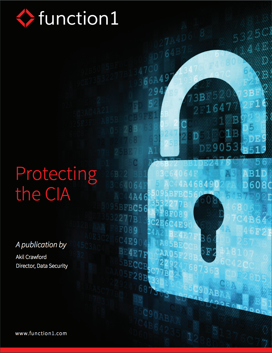 Protecting The CIA